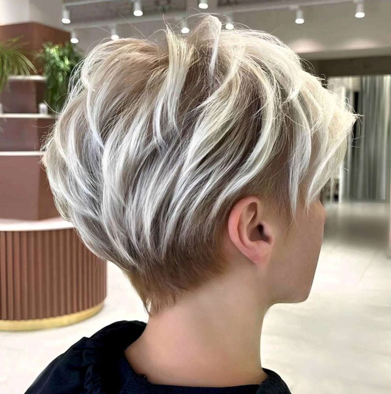 Choppy Silver Pixie Bob